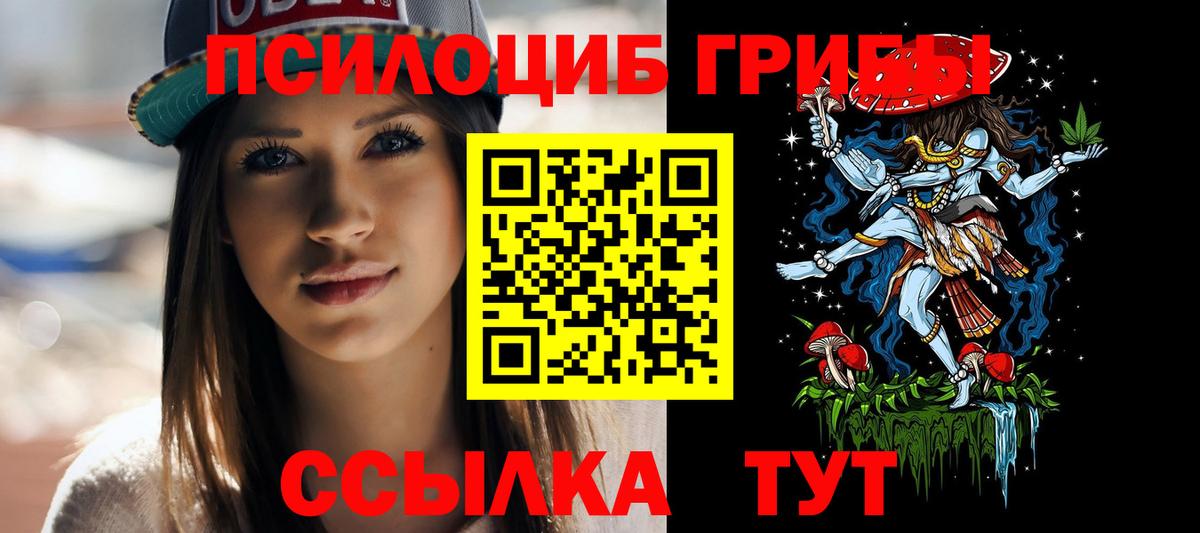 Саянск  Псилоцибиновые грибы MAGIC MUSHROOMS  Галлюциногенные грибы Psilocybe  Вход с VPN 